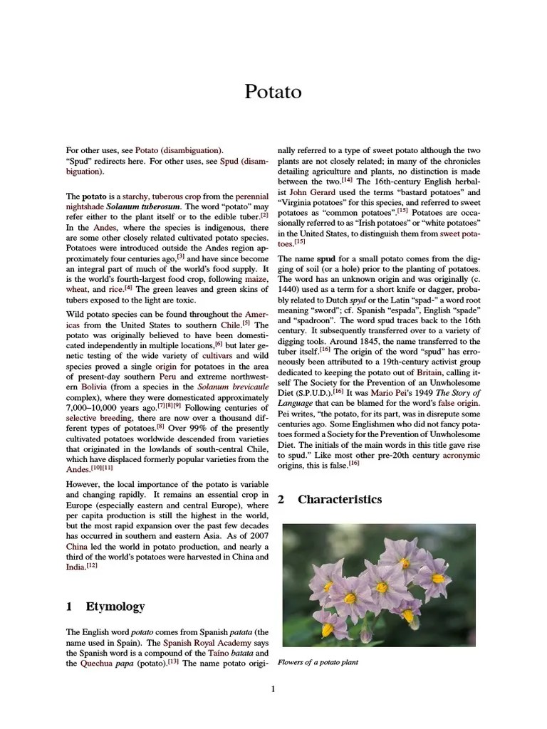 The origin of the potato Potato Food And Drink