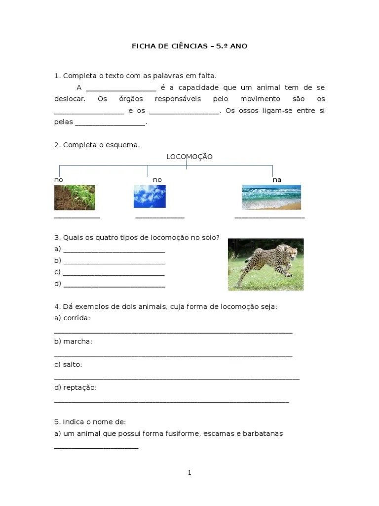 Ficha de Ciências 5.º Ano