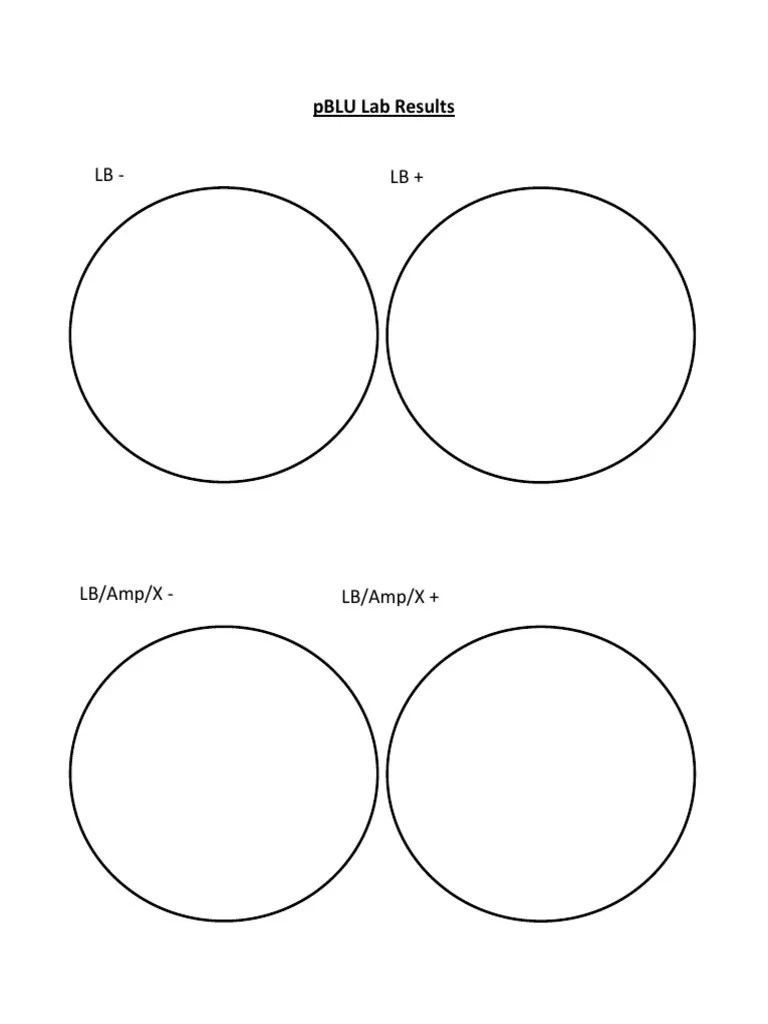 PBLU Lab Conclusion Questions PDF