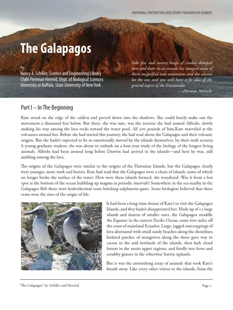 galapagos Galápagos Islands Hybrid (Biology)
