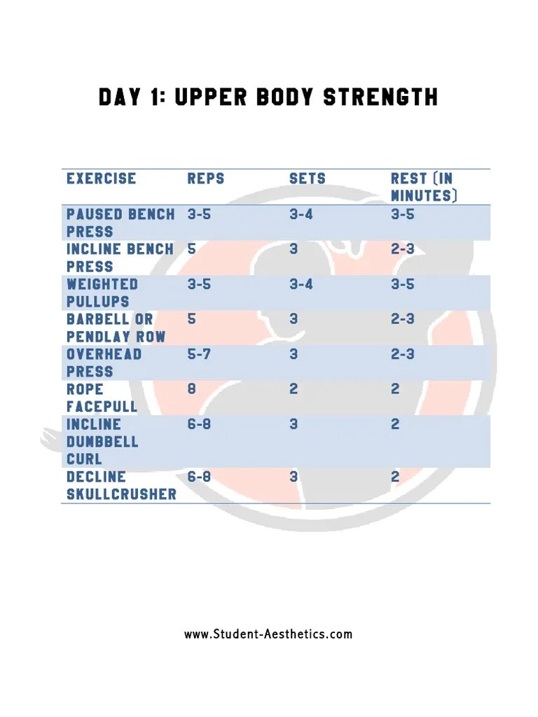 Student Aesthetics Upper Lower Split | Pdf | Management Of Obesity | Human  Anatomy