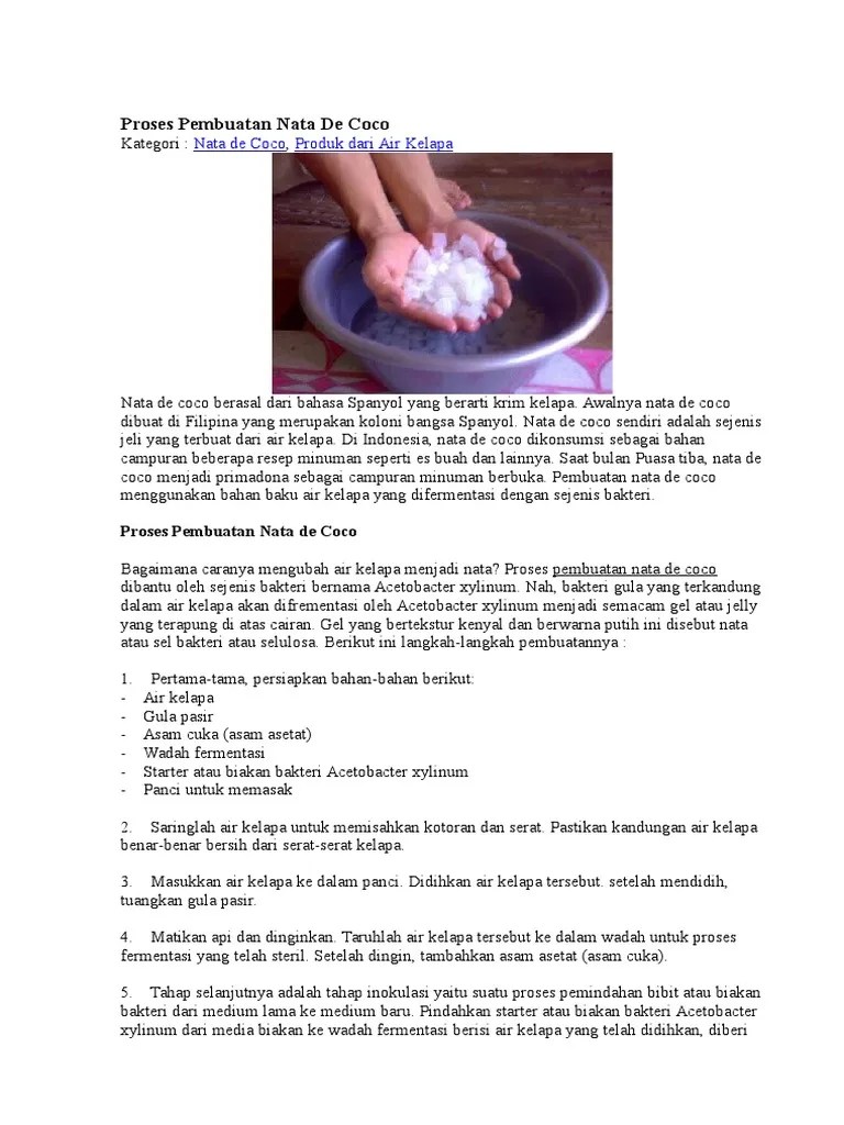 Cara Pembuatan Nata De Coco Dengan Bakteri Membuat Itu