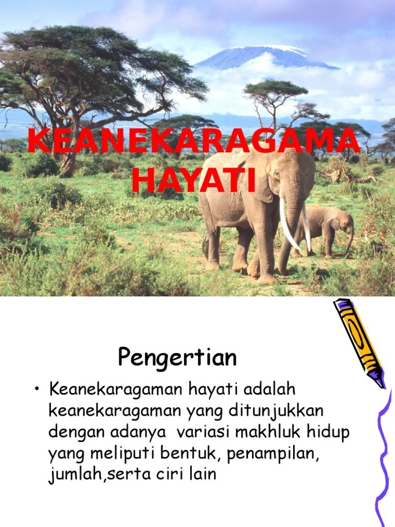 1keanekaragamanhayati1.ppt