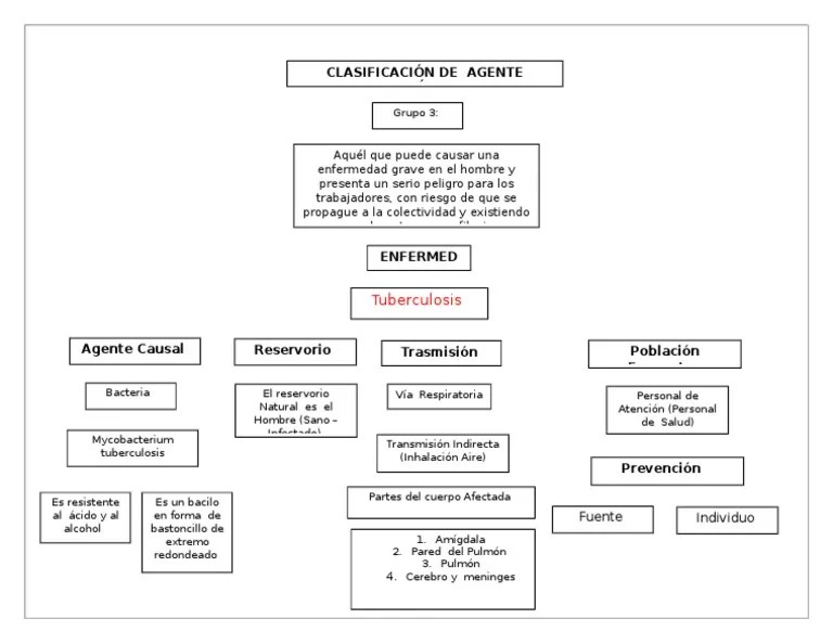 Mapa Conceptual Riesgo Biologico