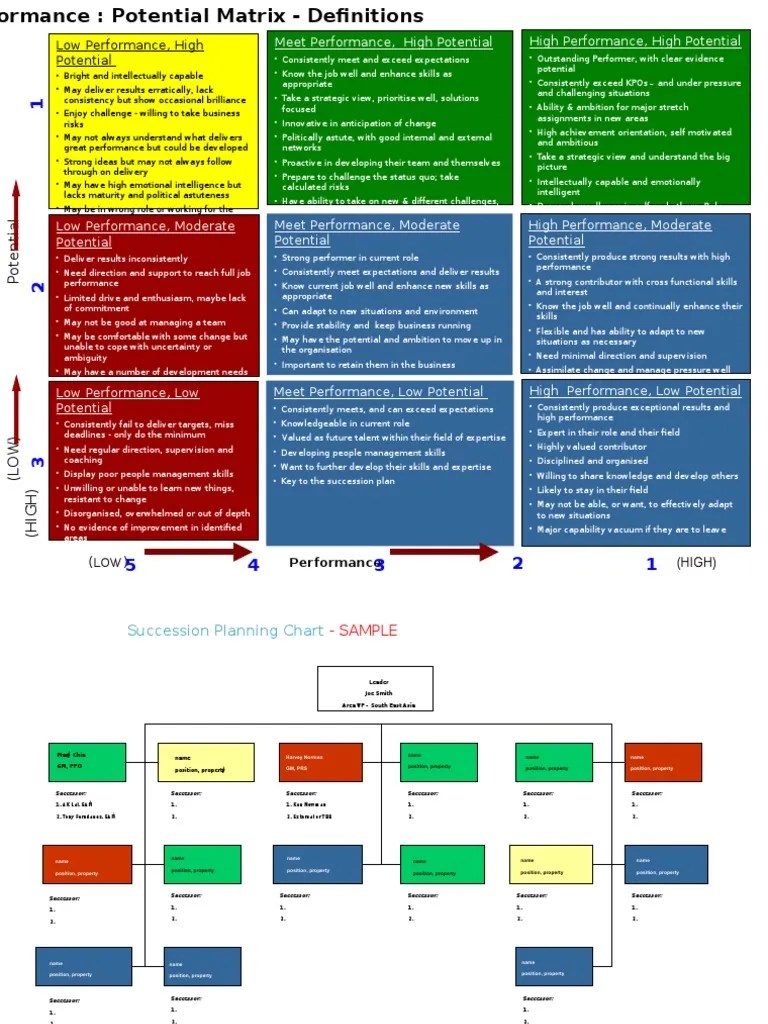 9 box + chart Template (1) Expert Cognitive Science