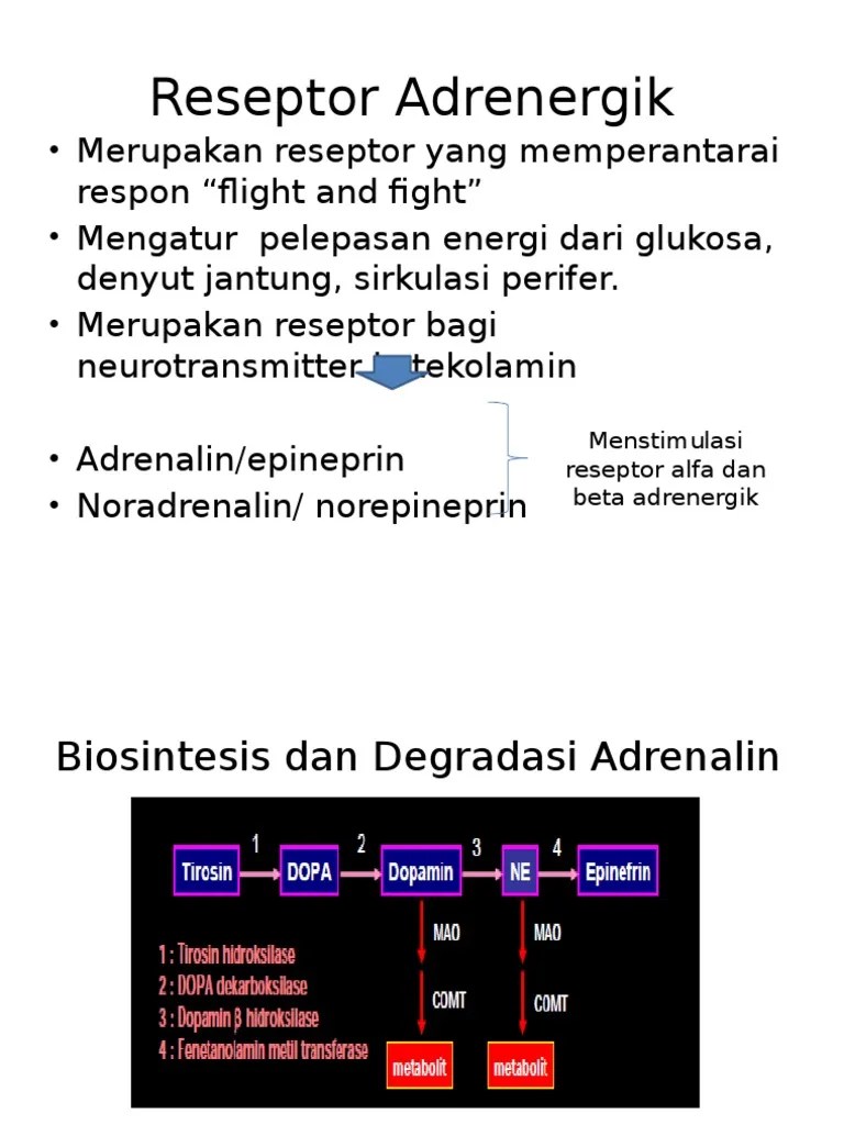Hubungan Struktur-Aktivitas Senyawa Adrenergik | PDF