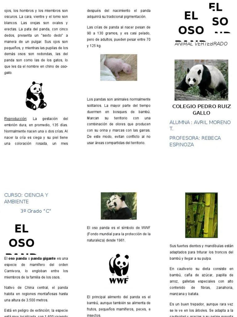 triptico panda.docx Panda gigante Organismos