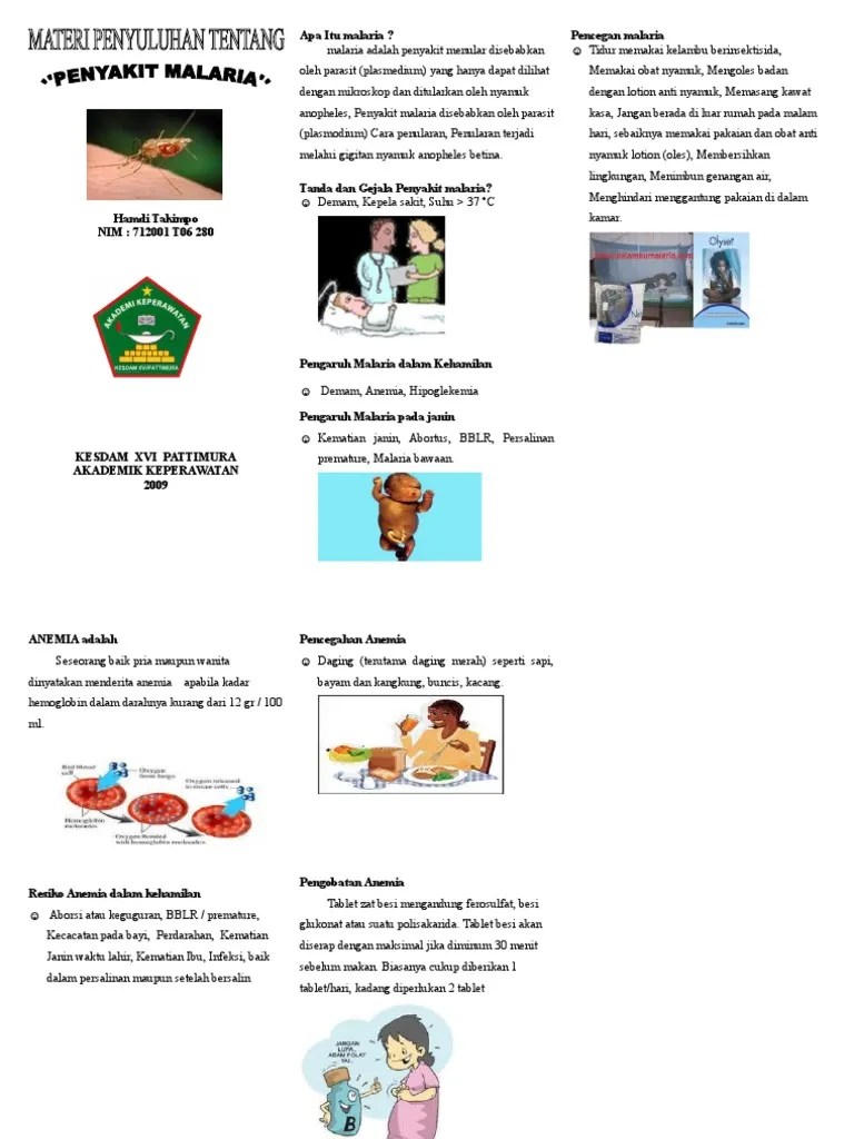 Dokumen - Tips Leaflet Malaria Bumil | PDF