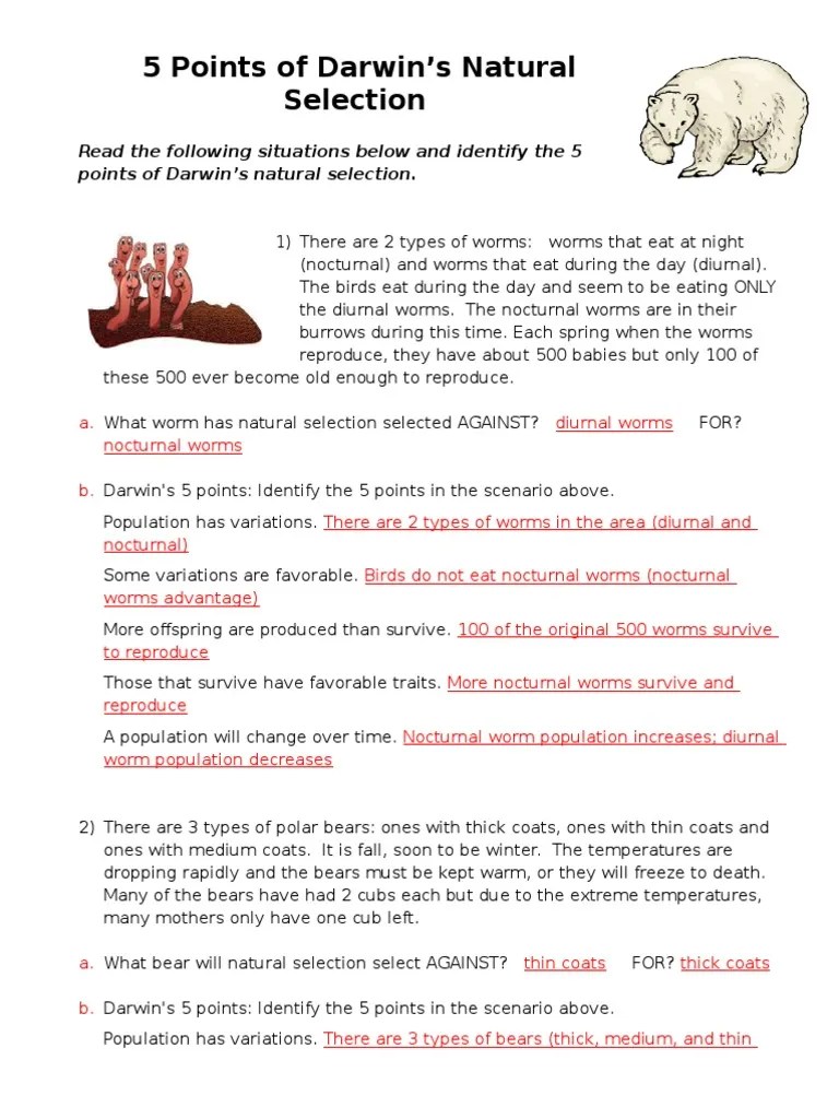5 Points of Natural Selection Answer Key (1) Natural Selection