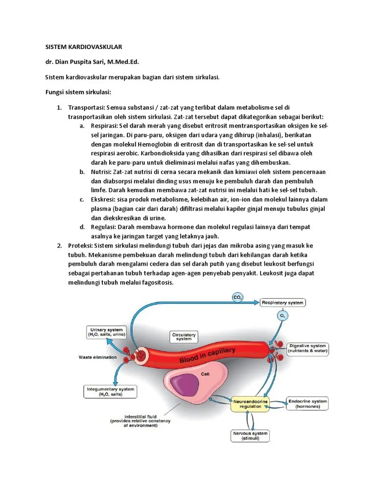 Anatomi Fisiologi Sistem Kardiovaskuler
