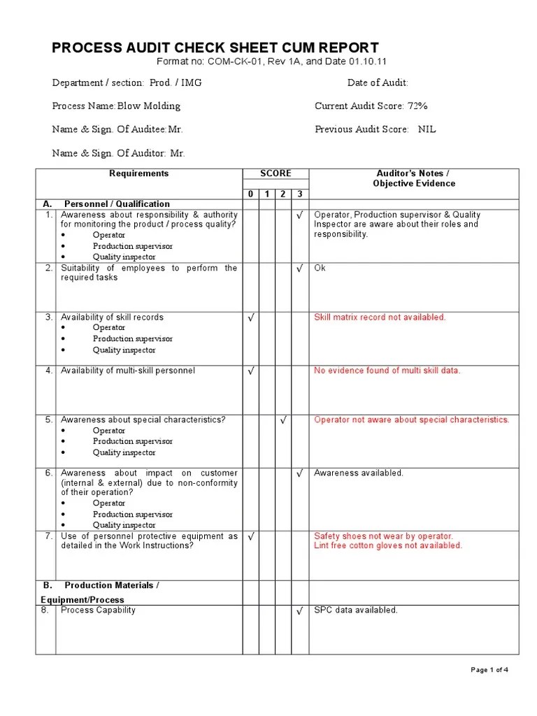 Process Audit Report . Auditor's Report Audit