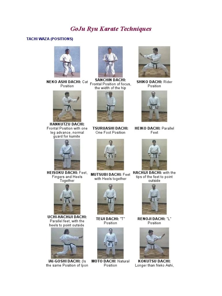 GoJu Ryu Karate Techniques Karate East Asian Martial Arts