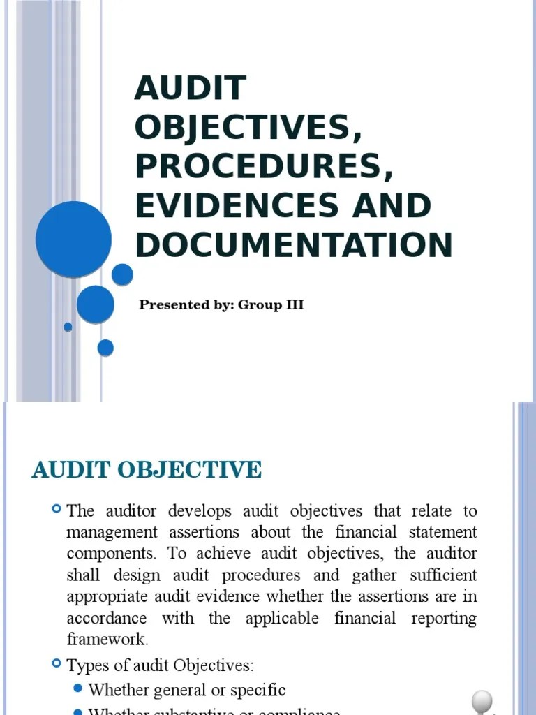 Audit Objectives Procedures Evidences and Documentation PDF