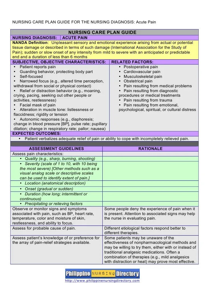 Nursing Care Plan for Acute Pain Analgesic Pain