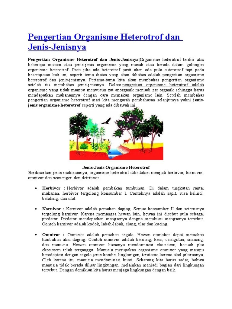 Pengertian Organisme Heterotrof Dan Contohnya