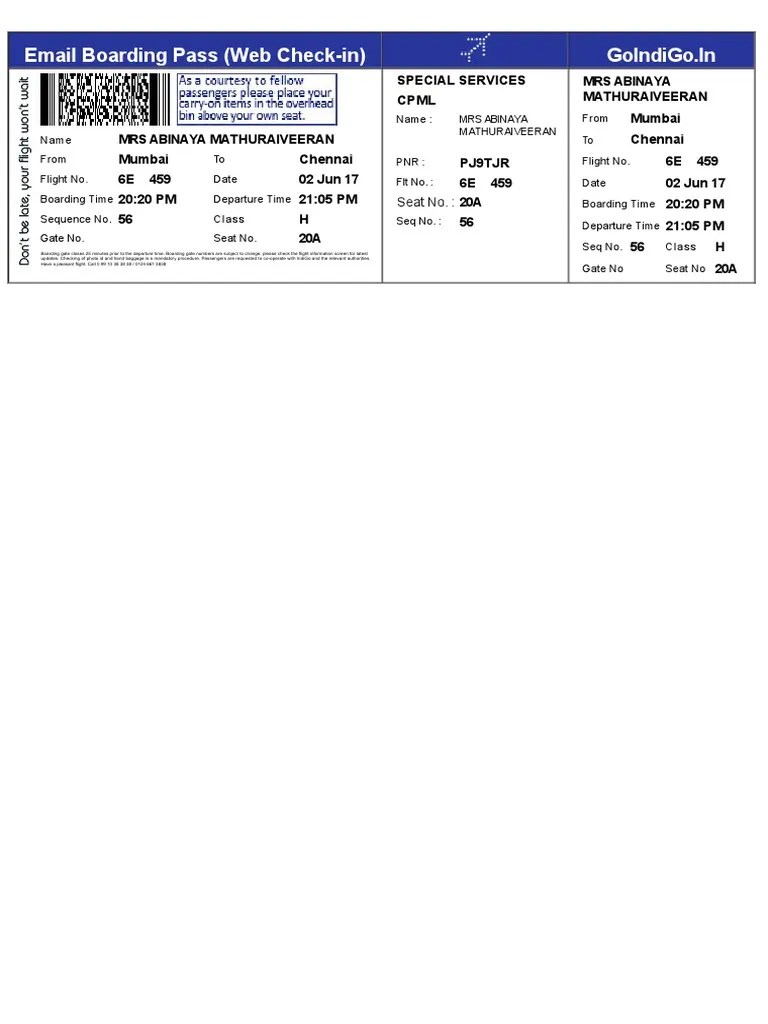 Email Boarding Pass ( Check In) Goindigo in PDF Aviation