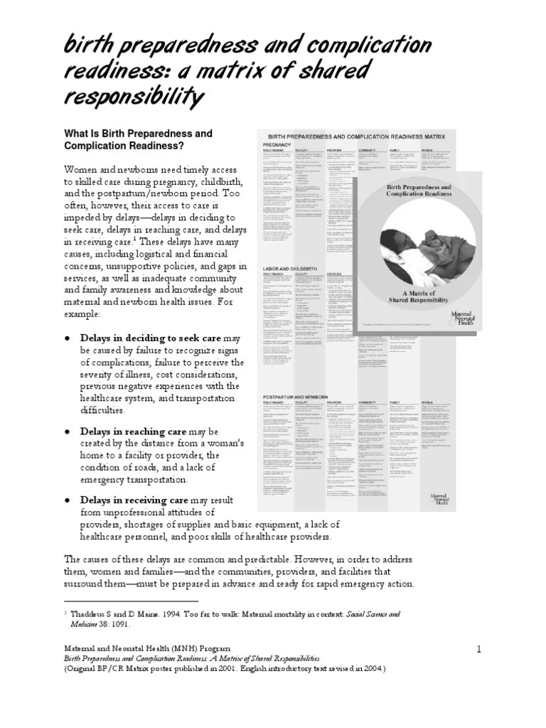 Birth Preparedness Matrix Childbirth Postpartum Period