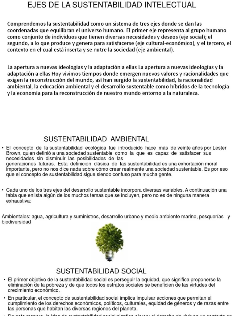 Ejes de La Sustentabilidad Intelectual Sustentabilidad Sociedad