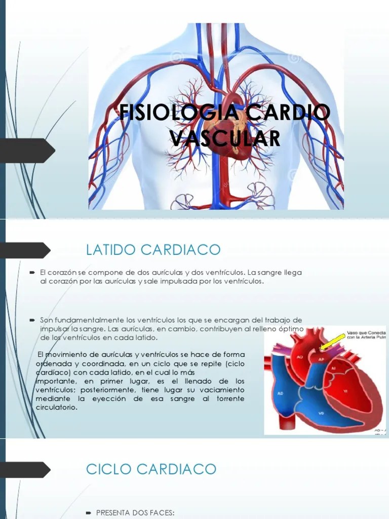 FISIOPATOLOGIA CARDIO VASCULAR Corazón Ventrículo (Corazón)