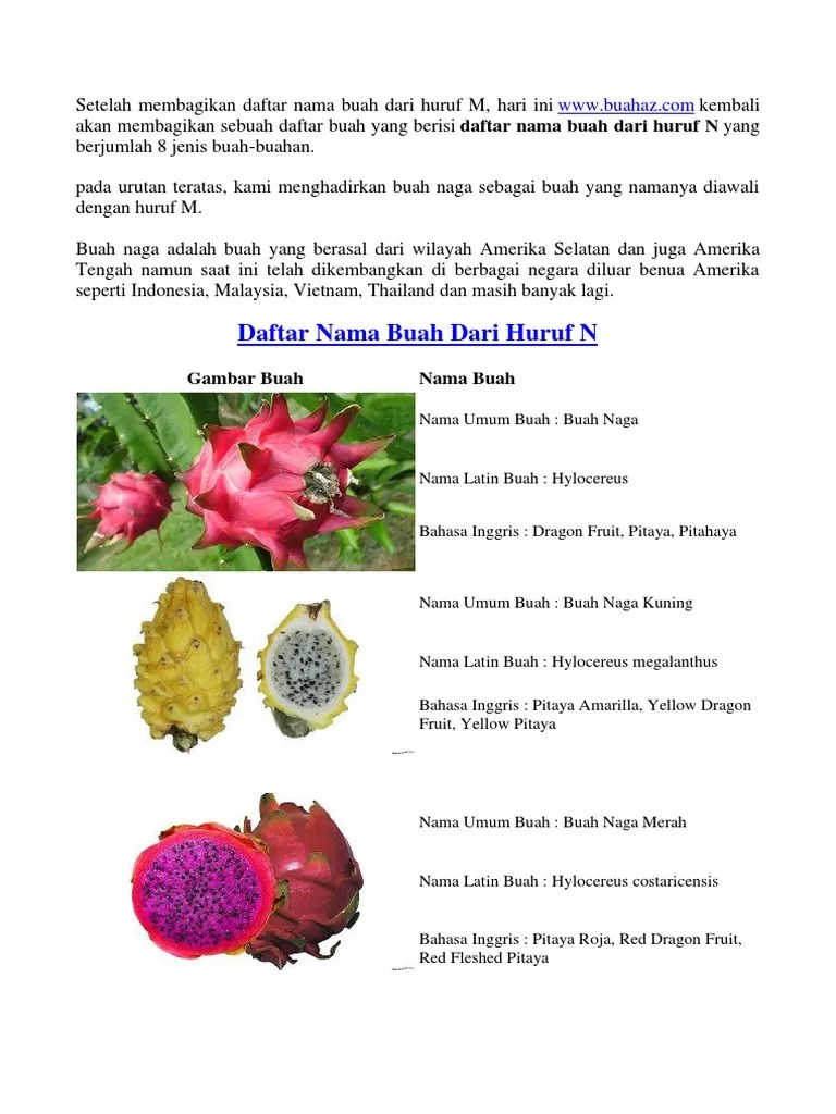 Buah Dari Huruf N | PDF