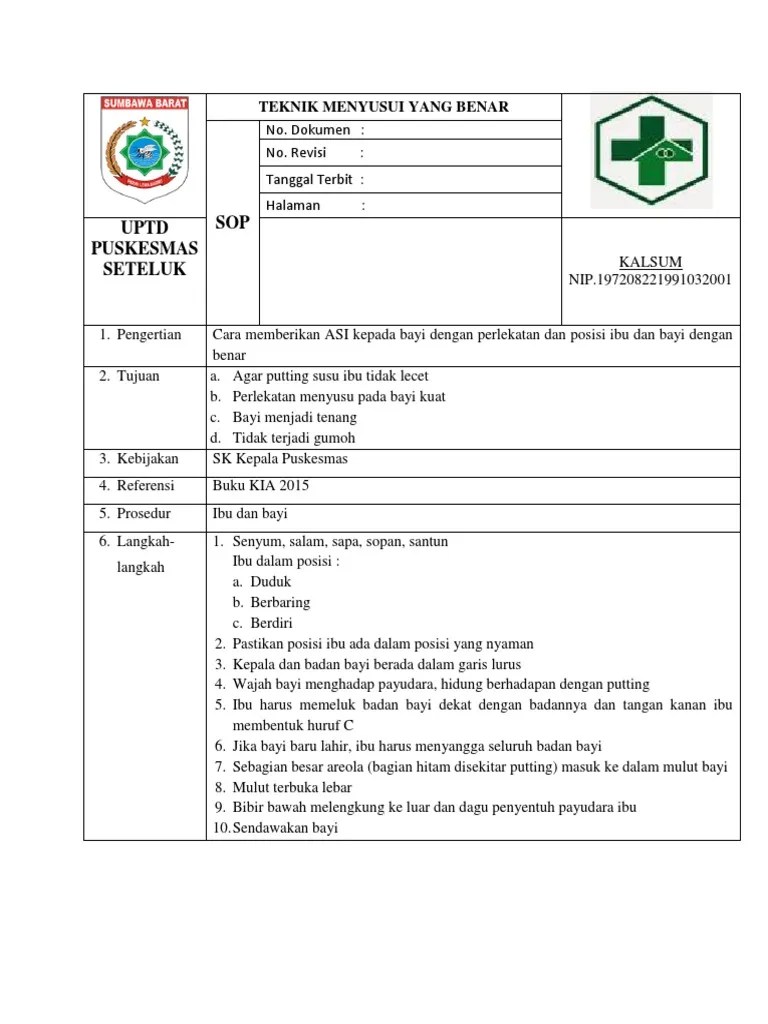 Sop. Teknik Menyusui Yang Benar PDF