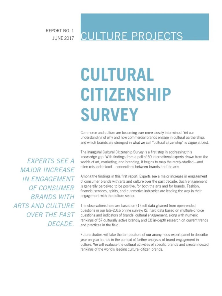 Cultural Citizenship Survey Brand Reputation