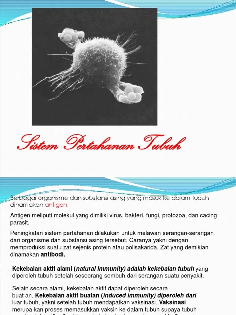 Sistem Pertahanan Tubuh.ppt