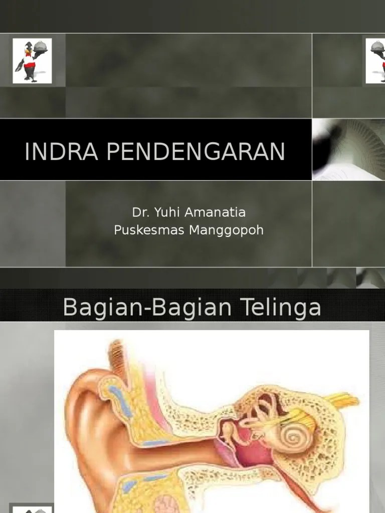 Indra Pendengaran | PDF