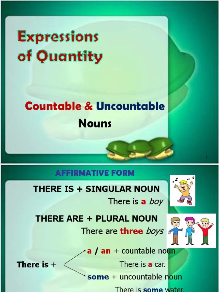 Quantity Expressions. Grammatical Number Plural