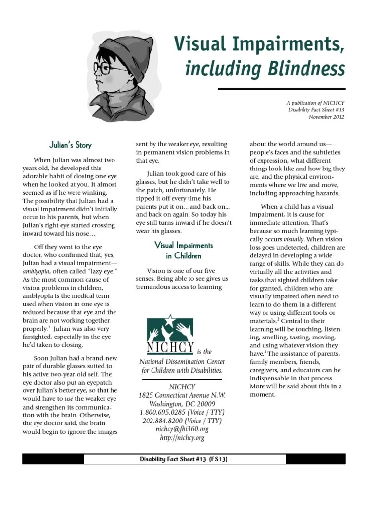 Including Blindness Visual Impairments PDF Visual Impairment