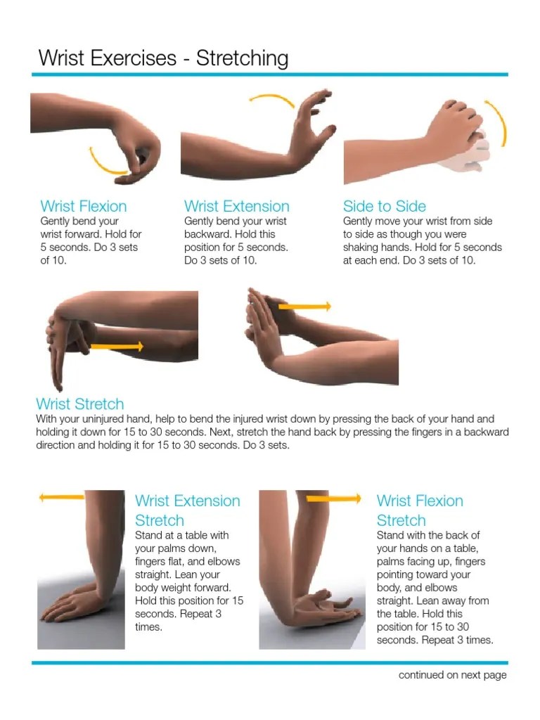 Wrist Exercises PDF Anatomical Terms Of Motion Hand