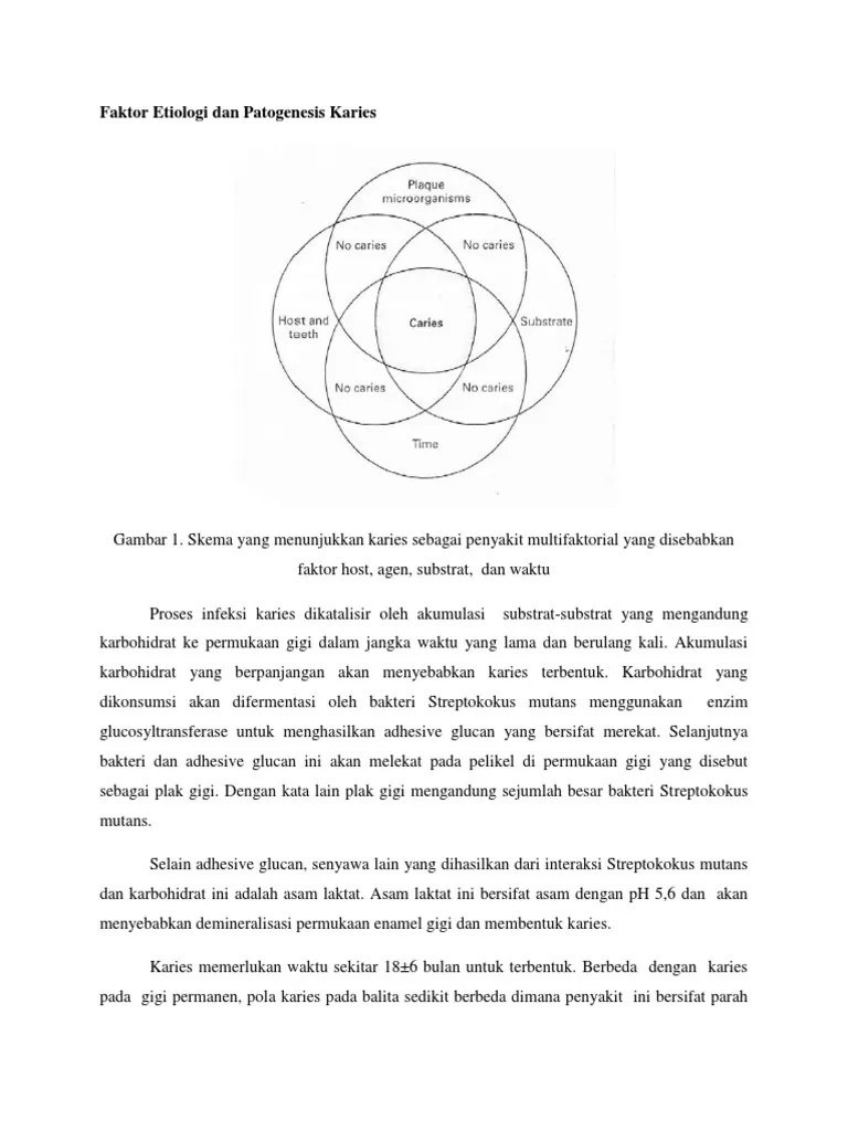 proses pembentukan karies