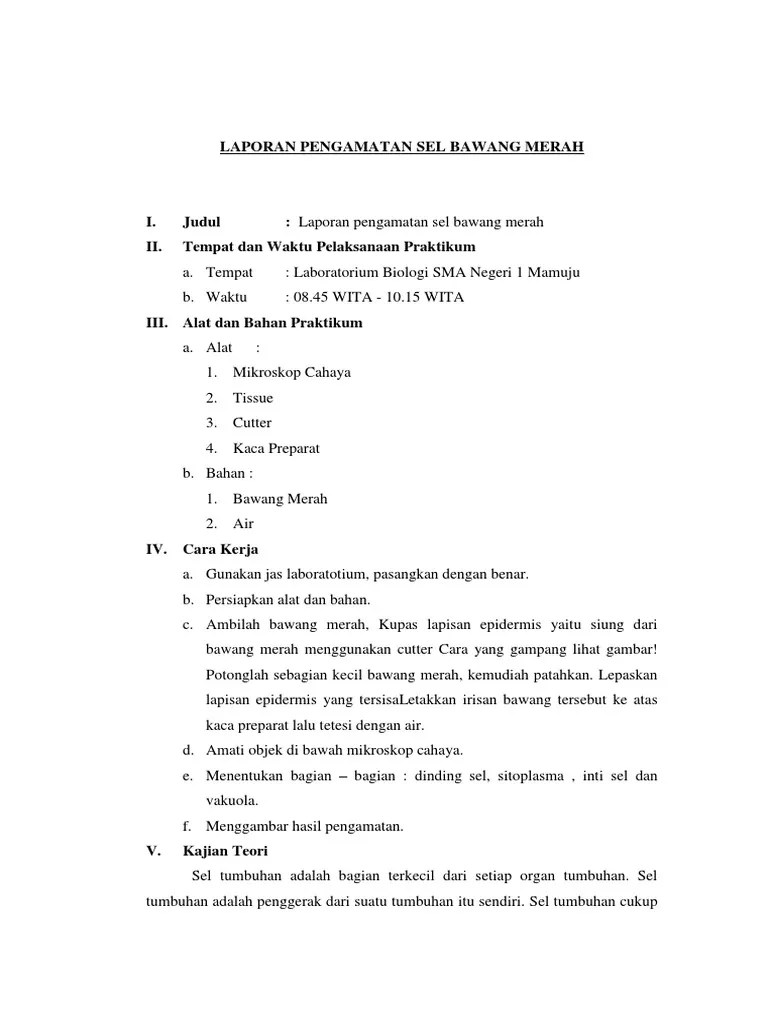 Contoh Laporan Pengamatan Tentang Kucing