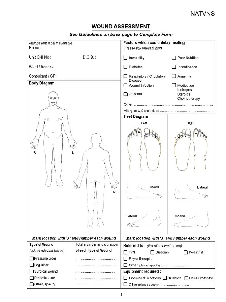 Wound Assessment Chart.pdf Wound Allergy Prueba gratuita de 30