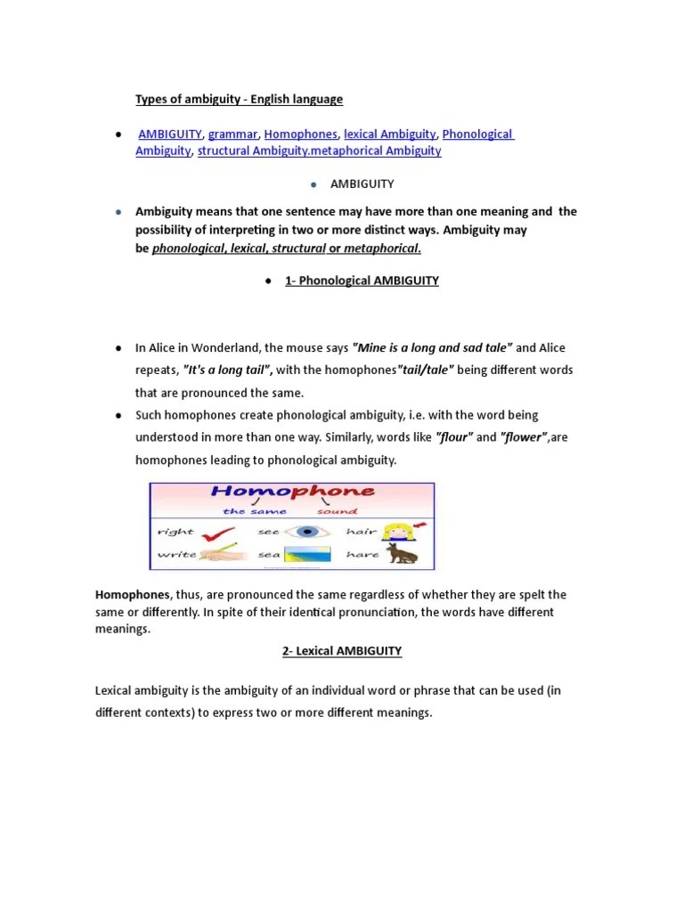 Ambiguity Ambiguity English Language