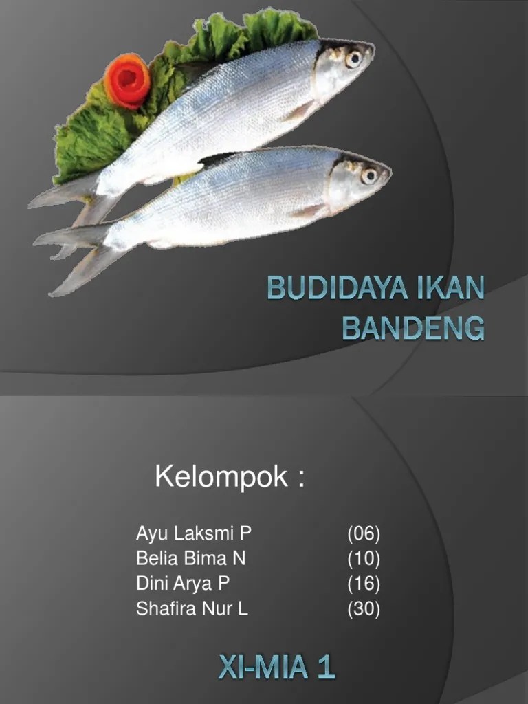 ppt BUDIDAYA IKAN BANDENG fix.pptx
