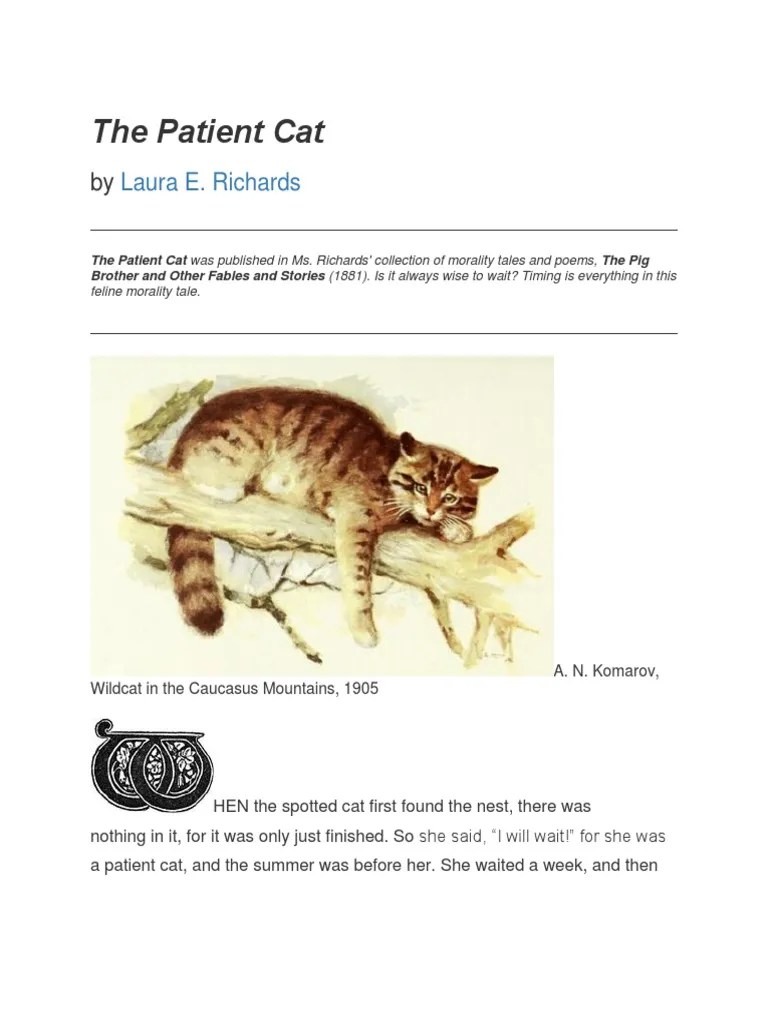 The Patient Cat Laura E. Richards PDF Cats