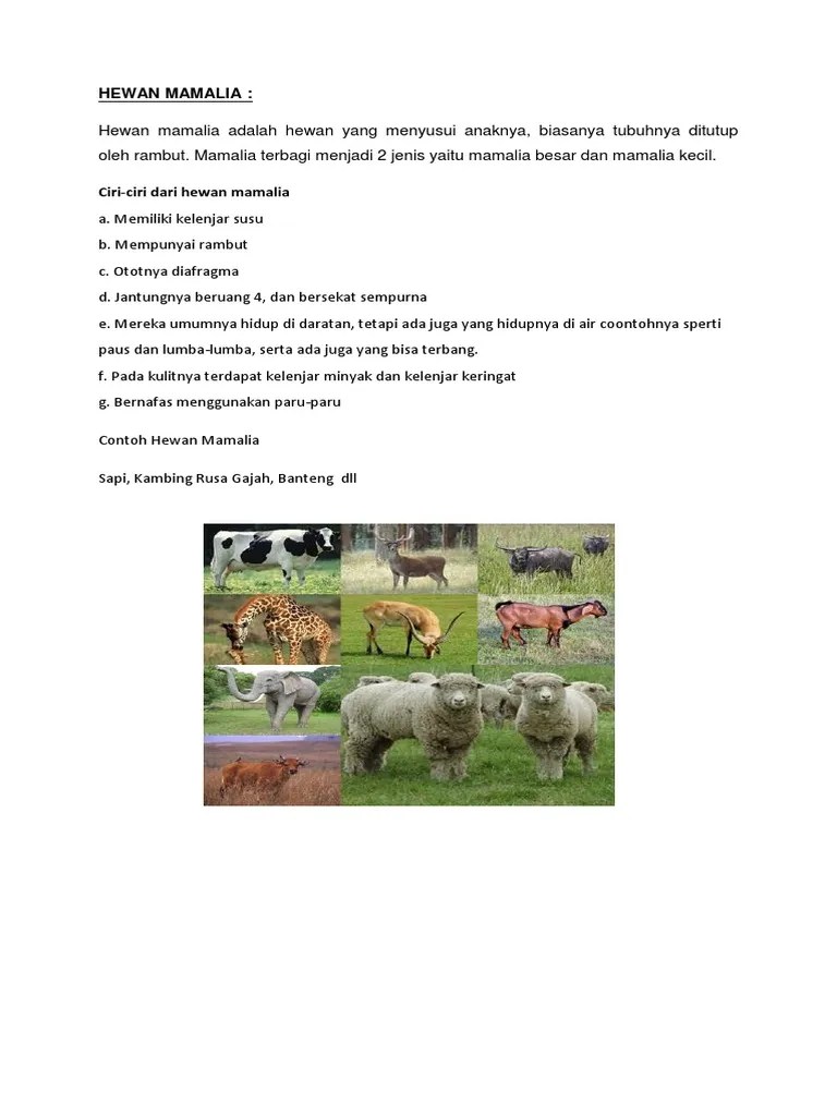 Hewan Mamalia | PDF