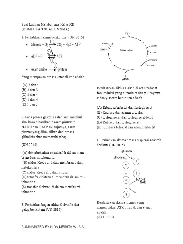 Kumpulan Soal UN SMA Bab Metabolisme Sel | PDF