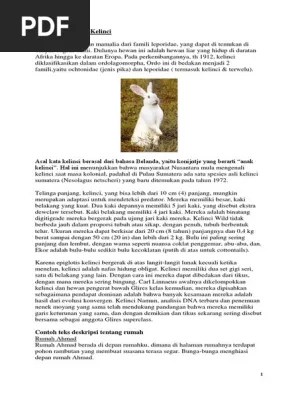 Teks Deskripsi Bahasa Inggris Tentang Kucing - Berbagai Teks Penting