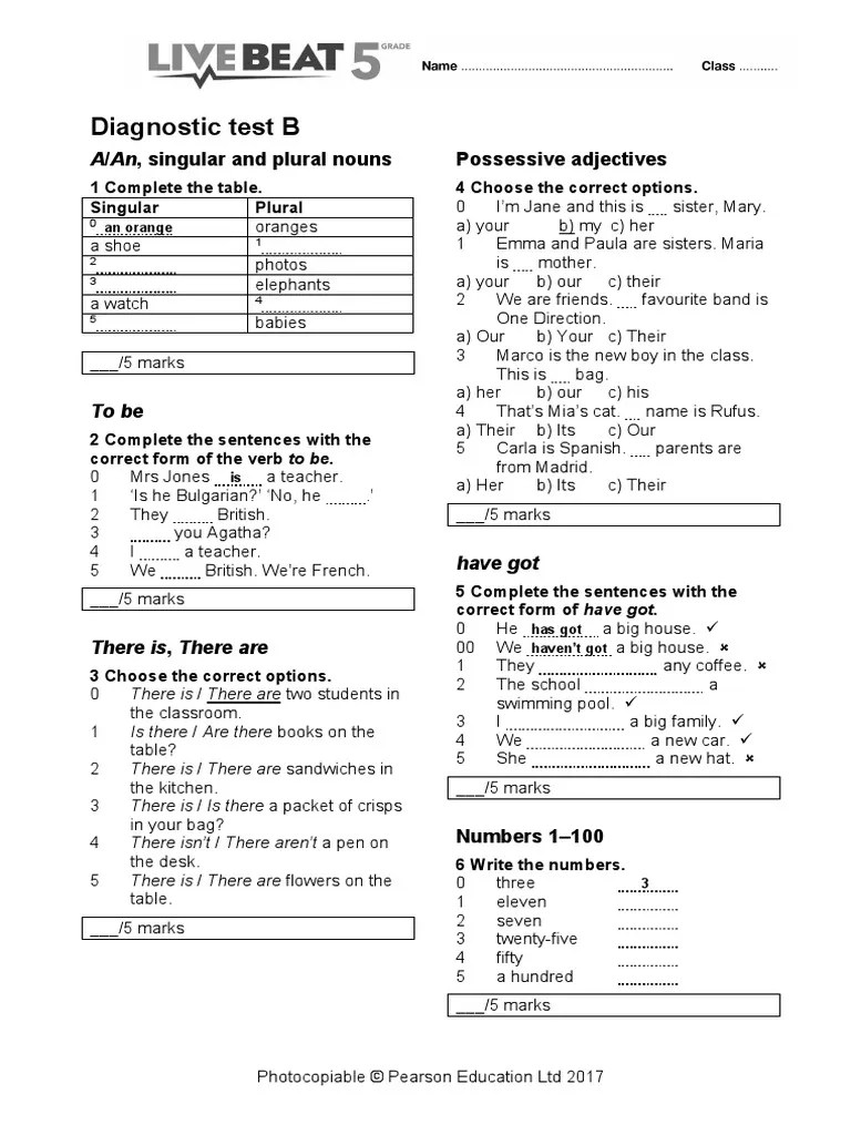LB 5th Diagnostic Test B PDF Plural Grammatical Number