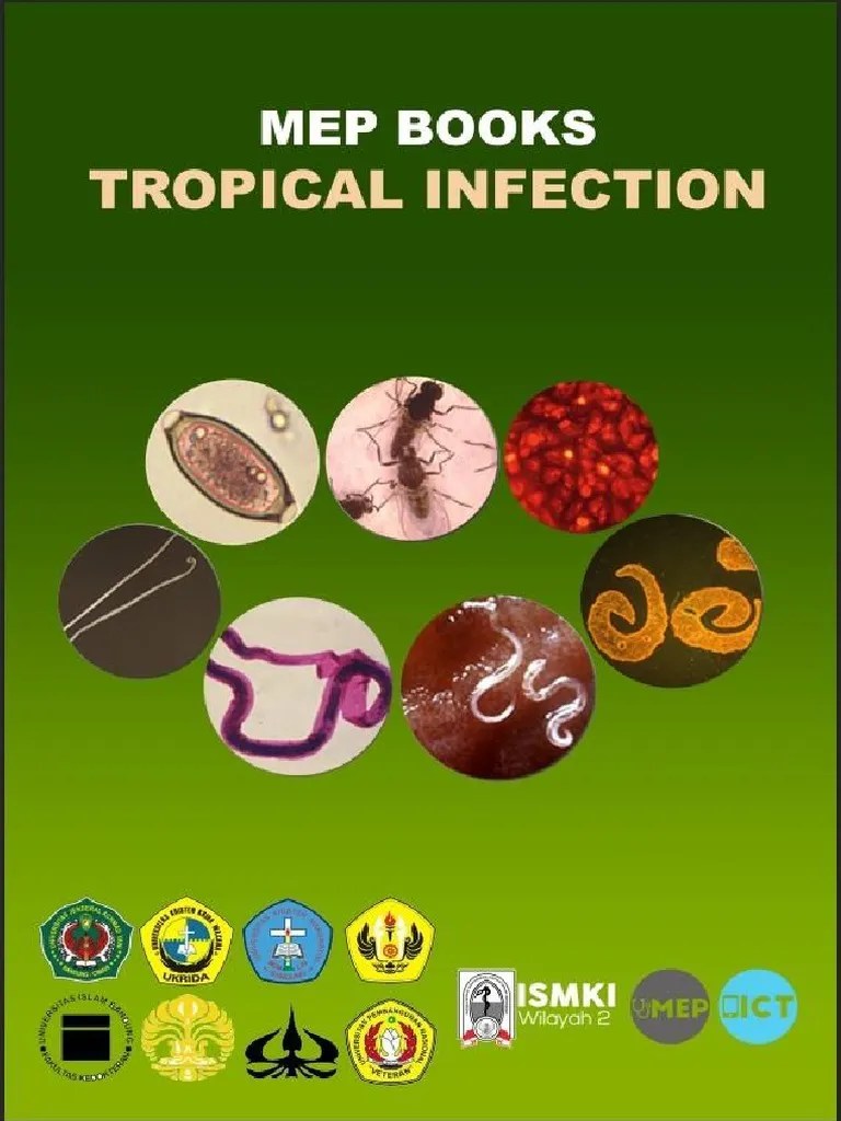 Daftar Lagu 999 Fm Hari Ini Daftar Ini