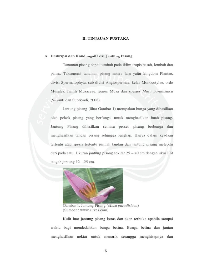 kANDUNGAN gIZI JANTUNG PISANG