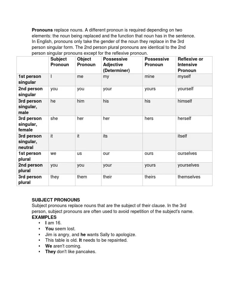 Pronouns Replace Nouns | Pronoun | Grammatical Number