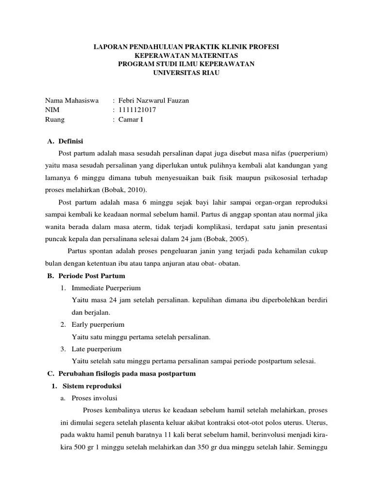 Konsep Post Partum