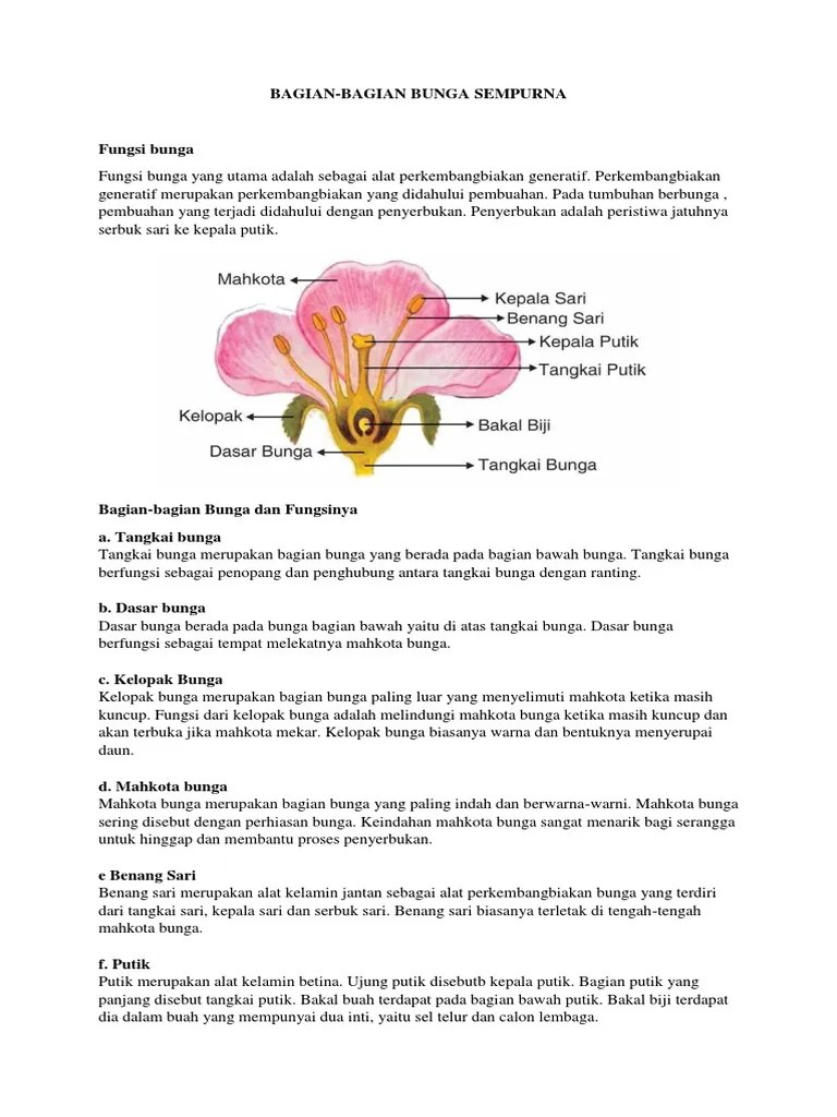Bagian Bagian Bunga Sempurna | PDF