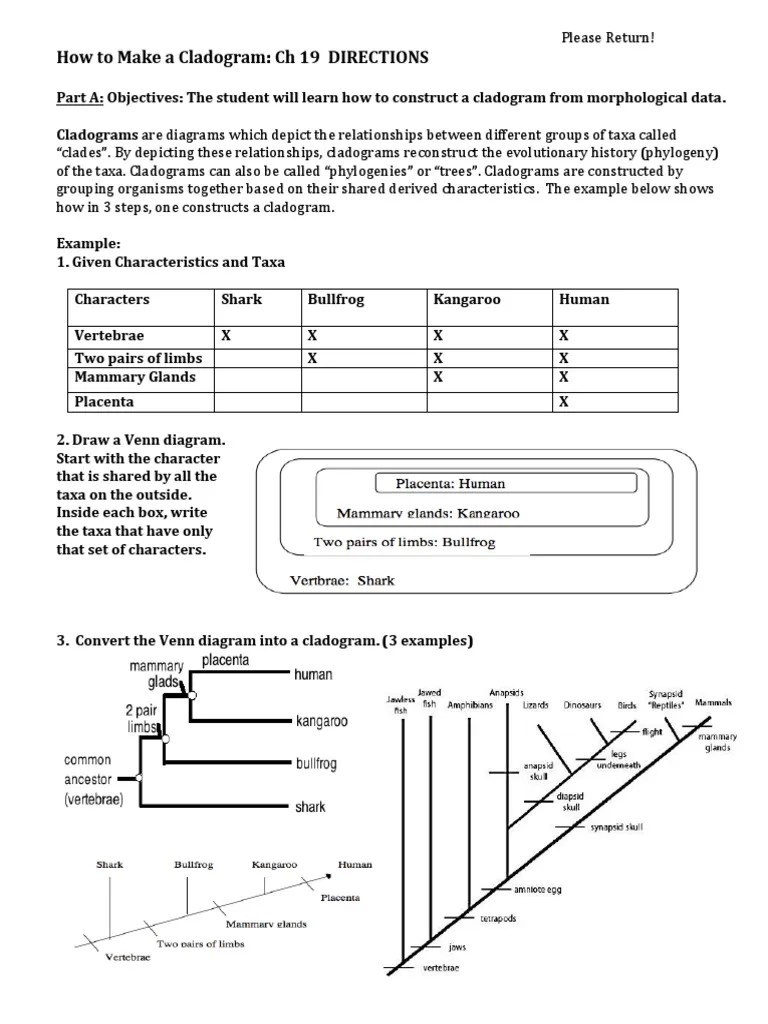 Cladogram Ch 19 Part A Tree Clade