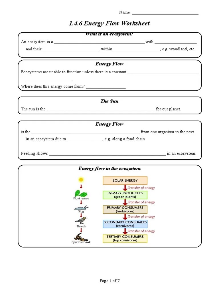 1.4.6 Energy Flow Worksheet Food Web Systems Ecology Free 30day
