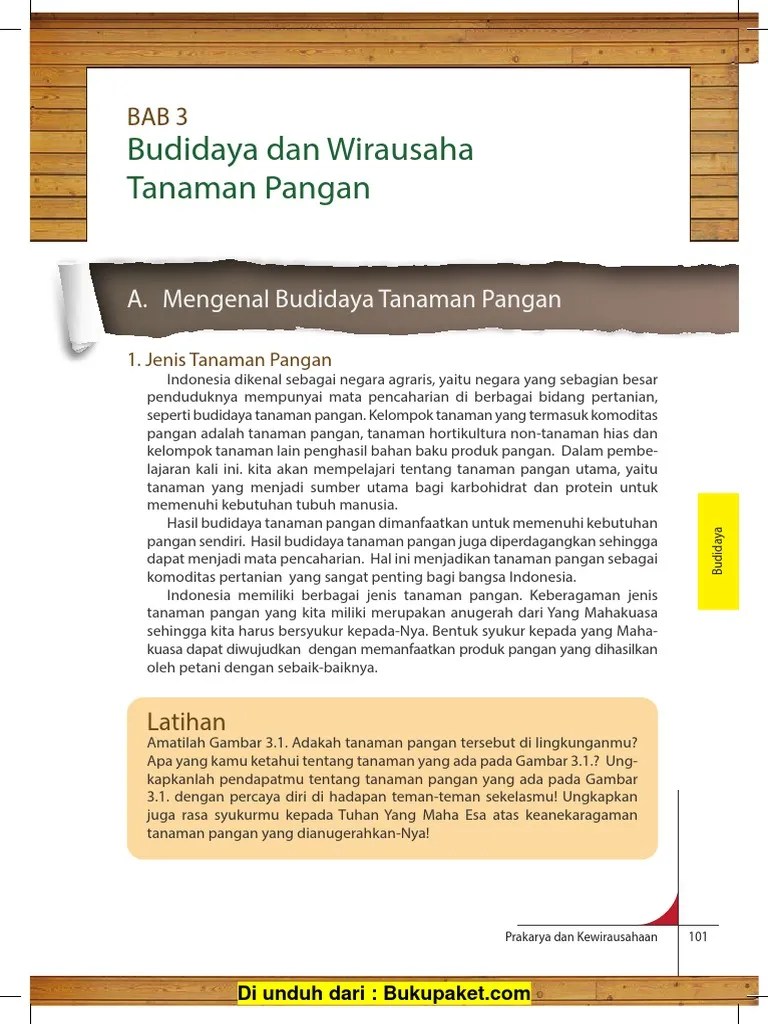 Bab 3 Budidaya Dan Wirausaha Tanaman Pangan | PDF