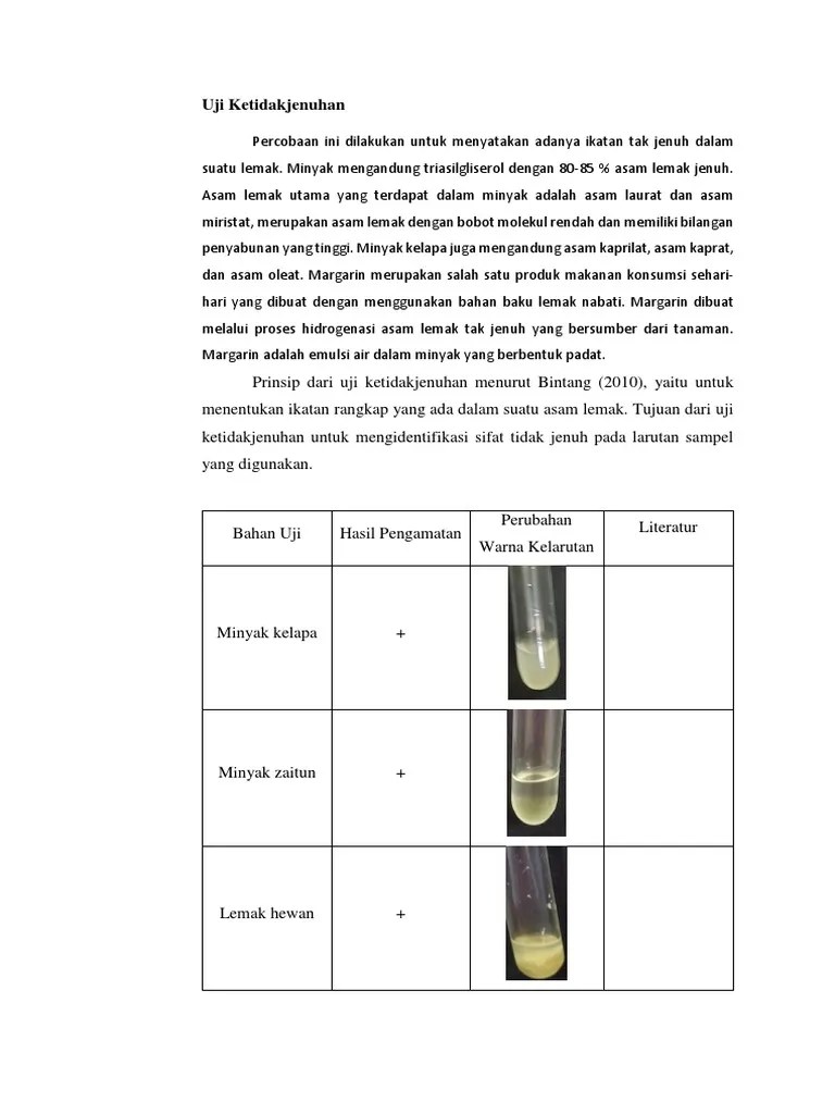 Uji Lipid – Sekali